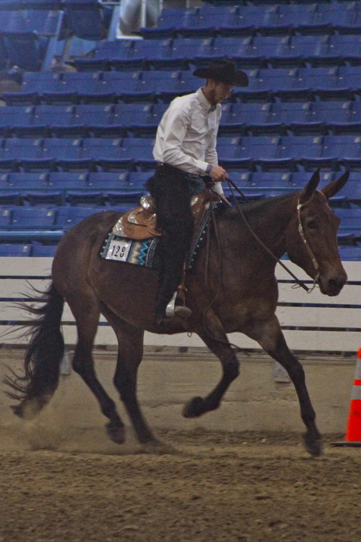 kidd reining.jpg
