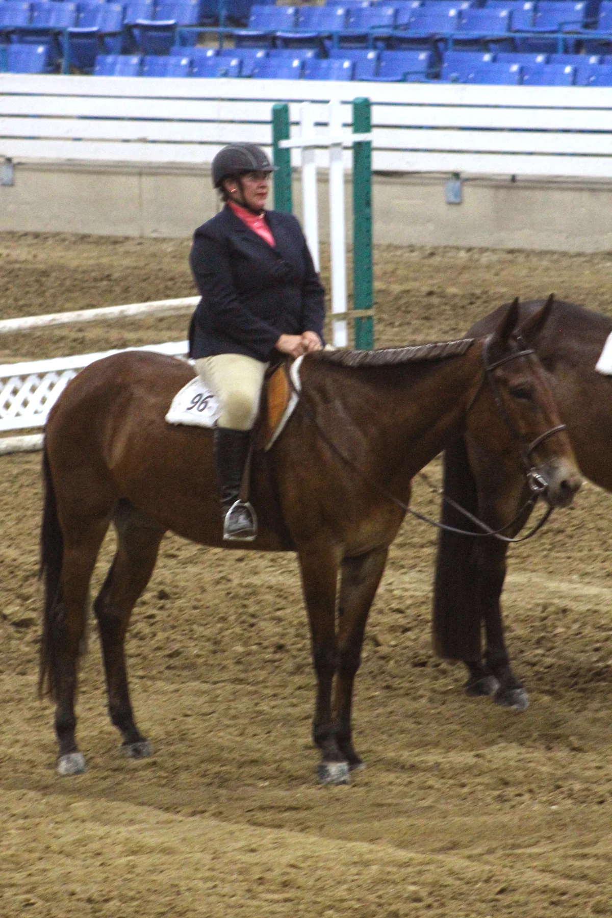 Sarah Stephens on C More Leg (Open Mule Working Hunter Champion)