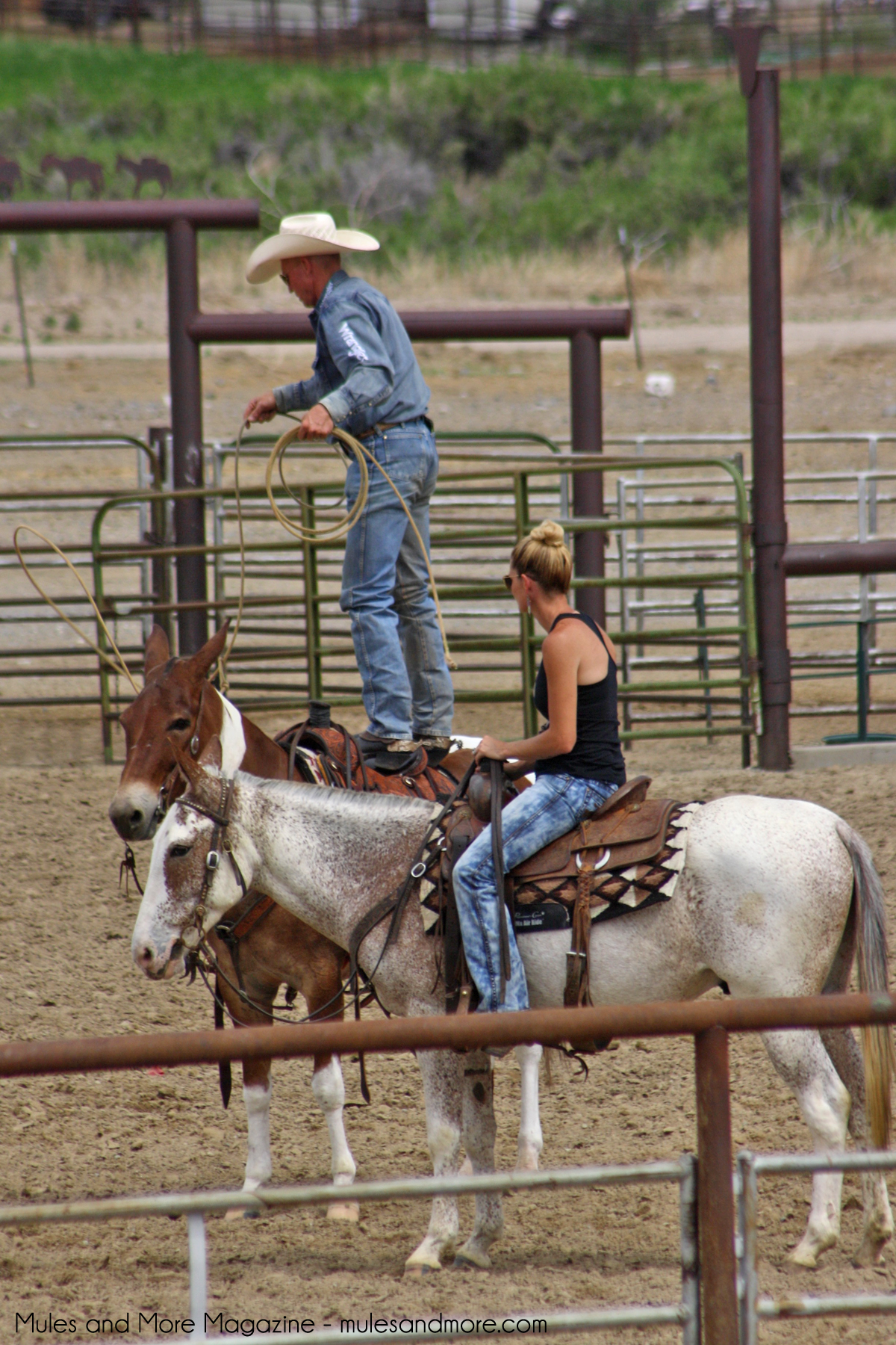 jake clark mule days 219