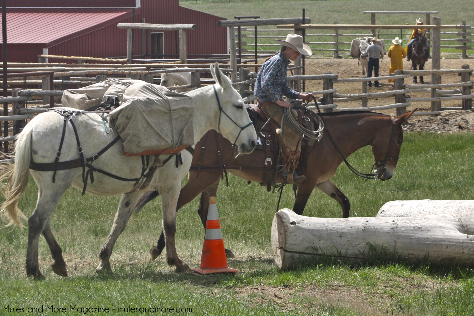 jake clark mule days 219