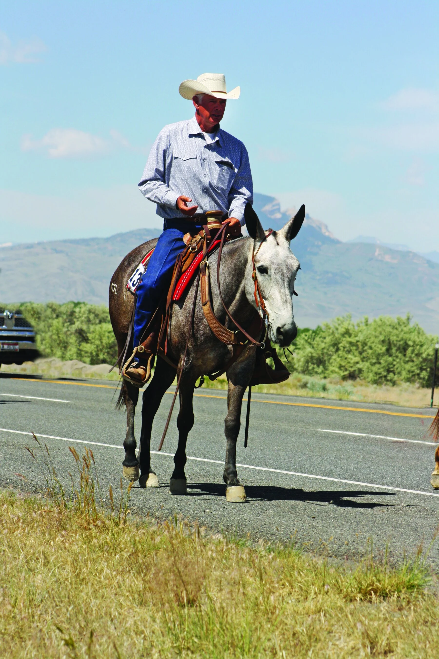 Reese Brothers Mule 219 Reebok New Collection Sale