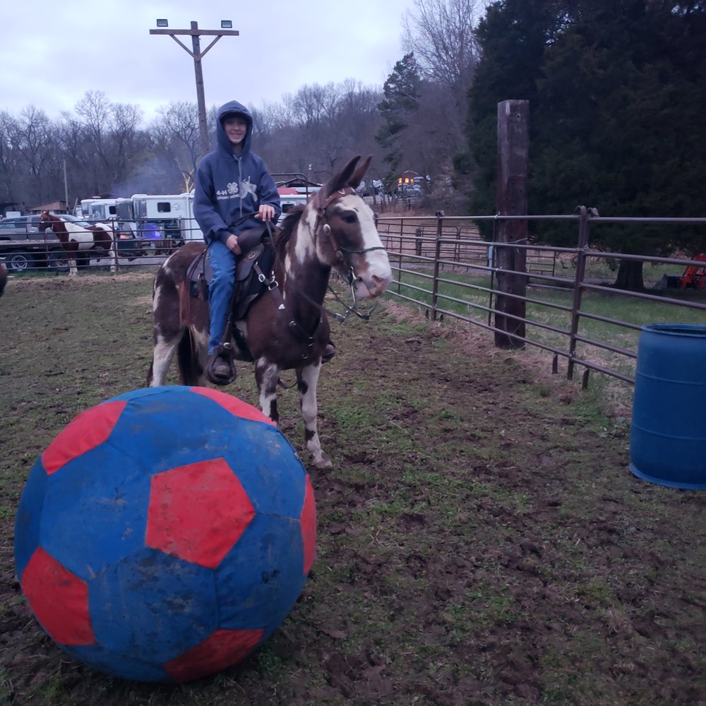 Tucker and Sonny playing mule soccer