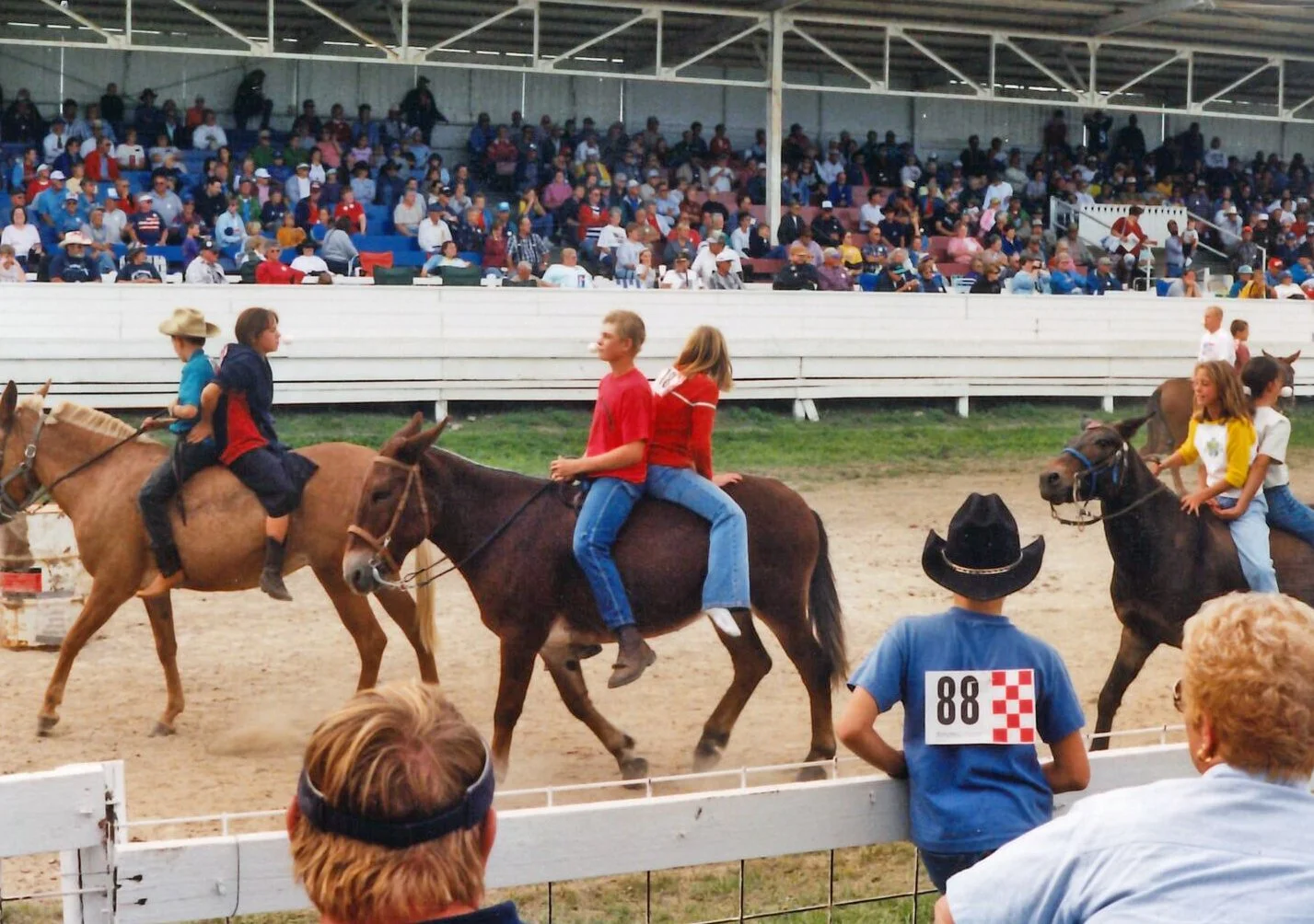 @mulesarchived on Instagram