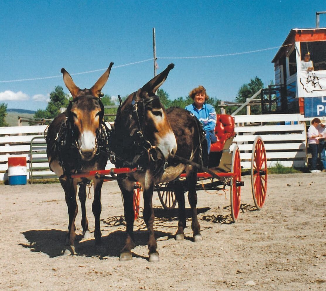 &ldquo;Angel &amp; Kate, mammoths, Montana Mule Days, June 1995&rdquo;