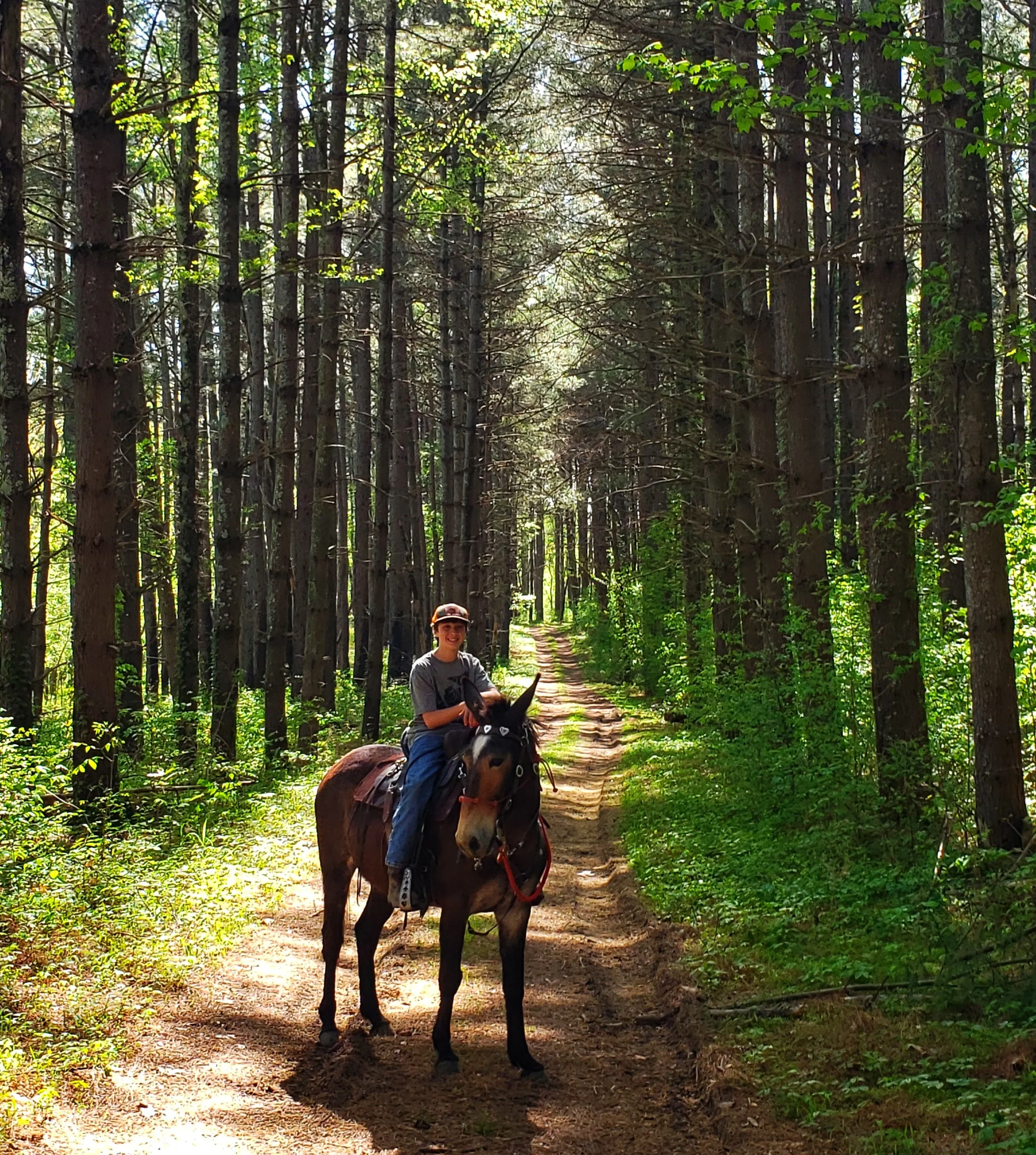 Exploring the River to River Trail