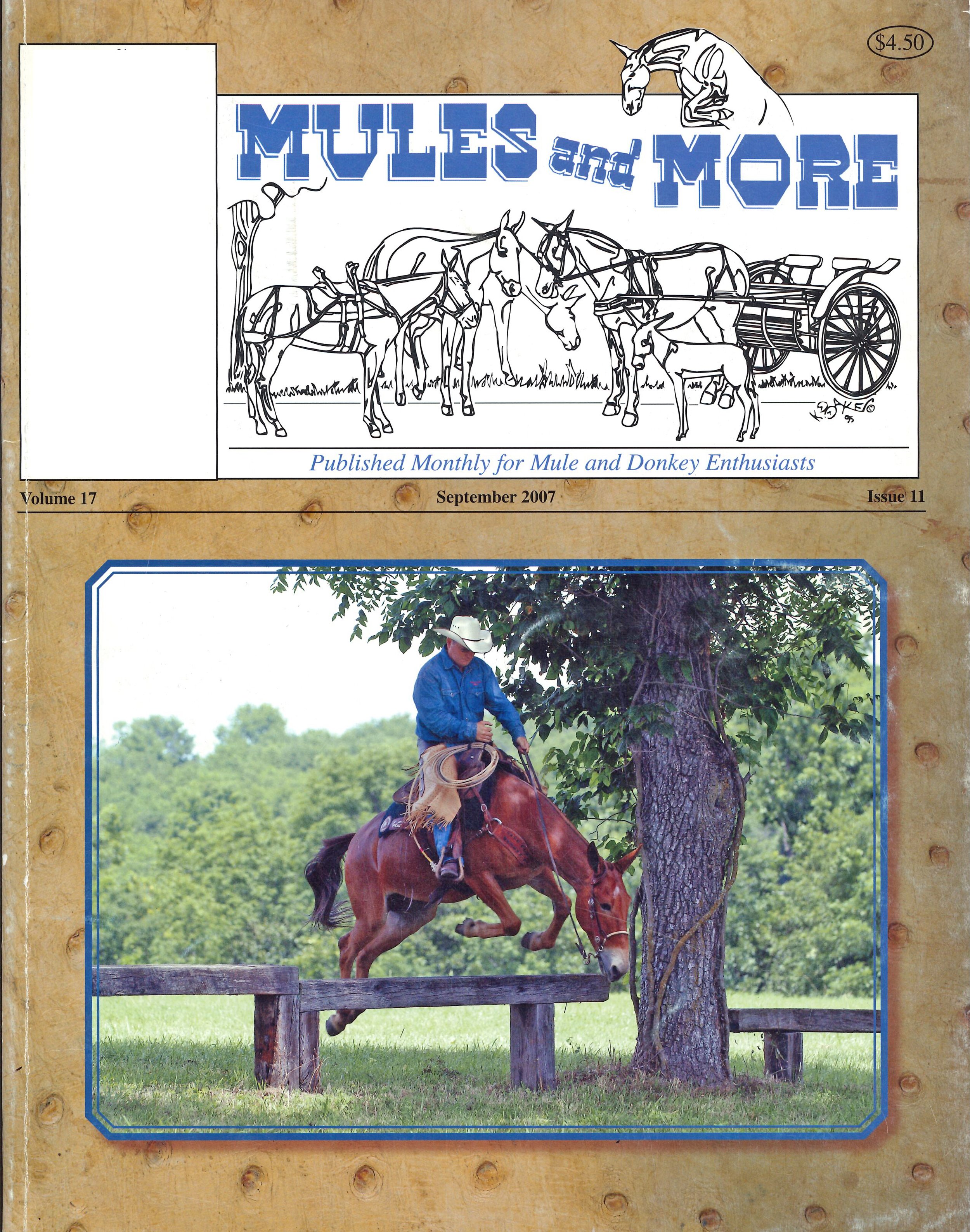 2007 Extreme Cowboy Races in Kansas City