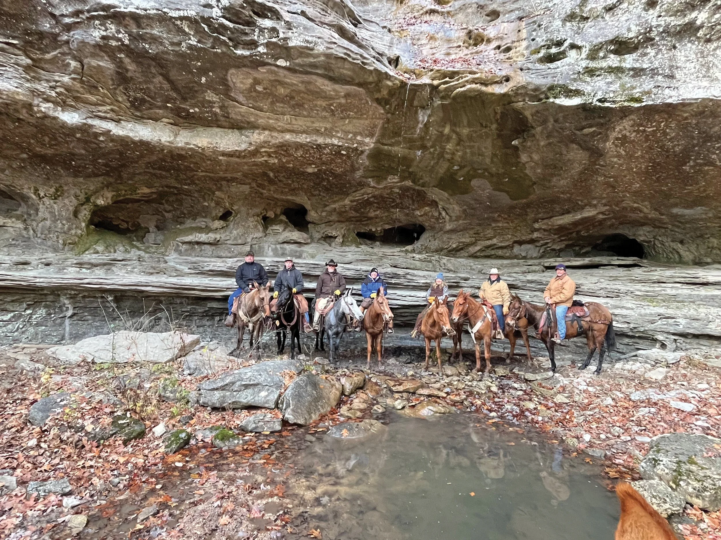 The Fall Caney Mountain Mule Ride