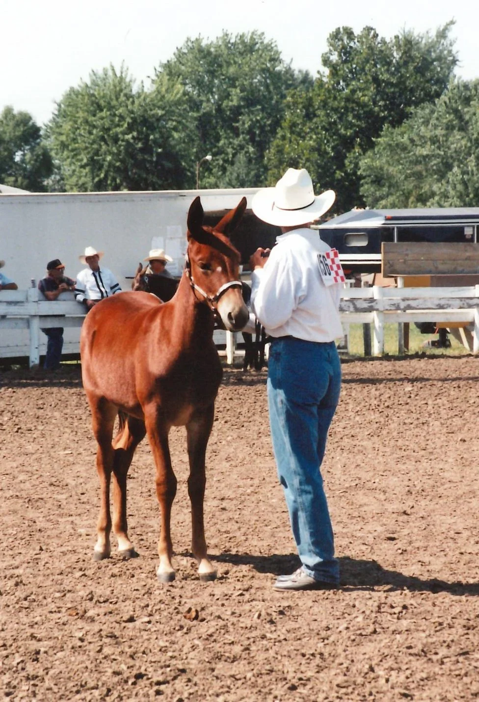 1998 IDMS State Show