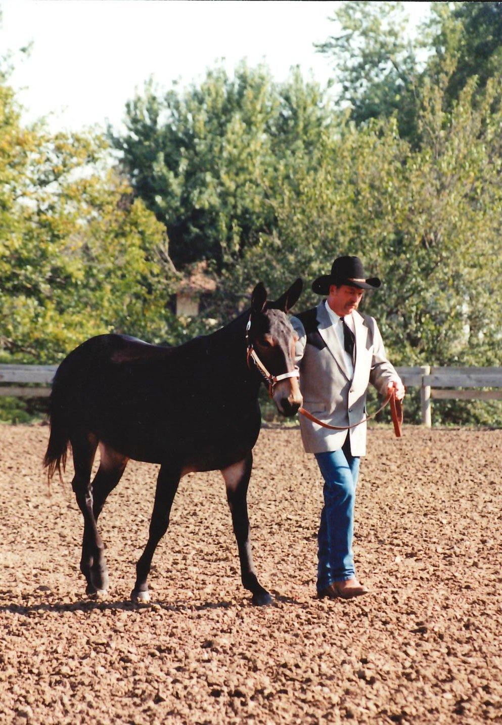 1998 IDMS State Show