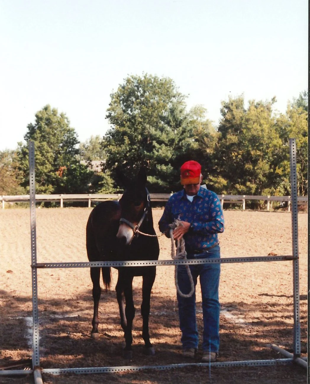 1998 IDMS State Show