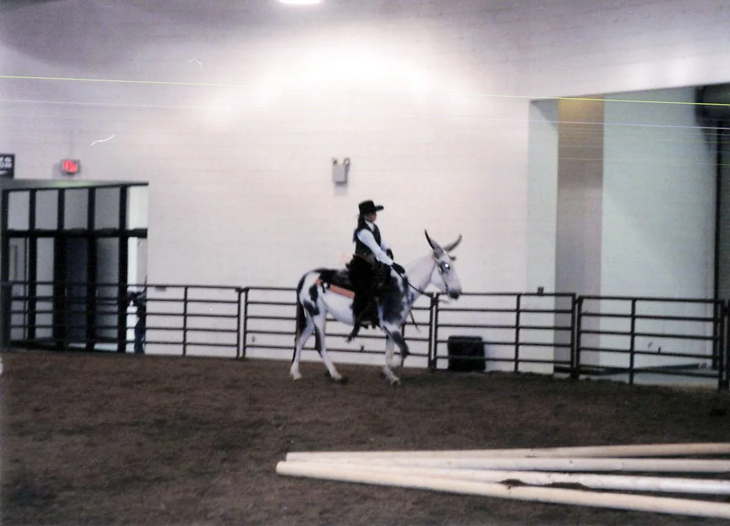 1999 Congress donkey trail.jpg