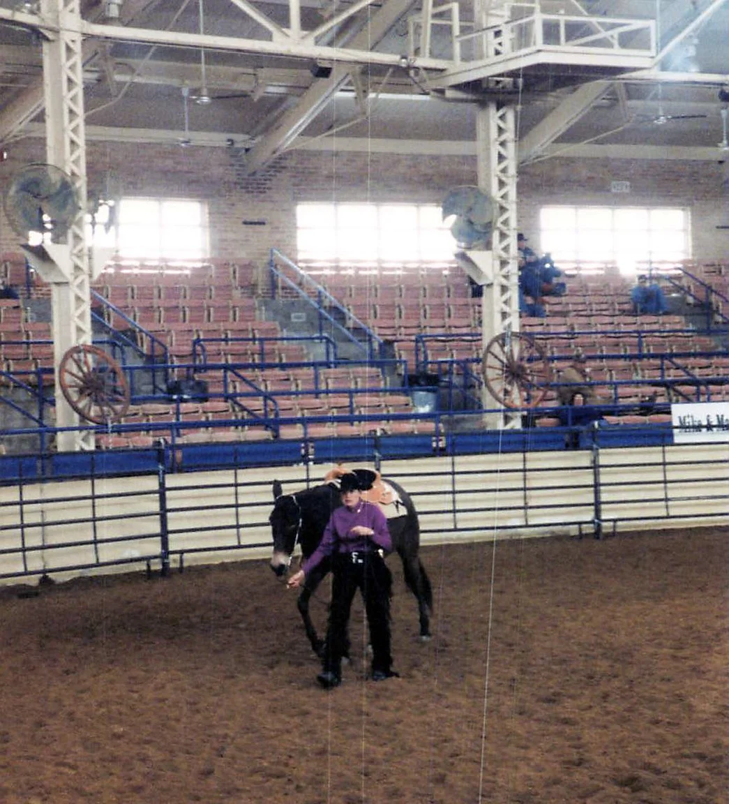 1999 Congress reining2.jpg