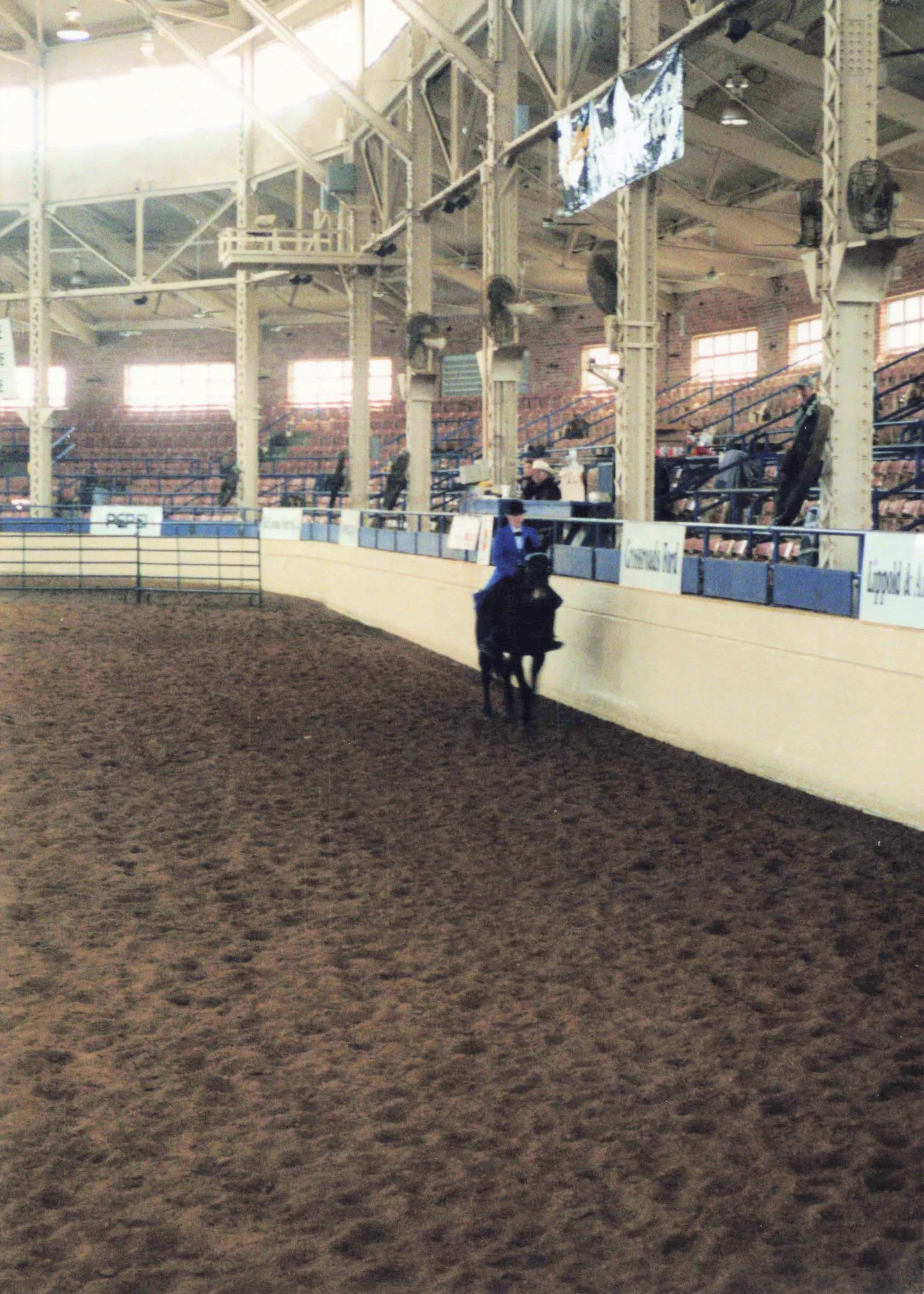 1999 Congress gaited.jpg