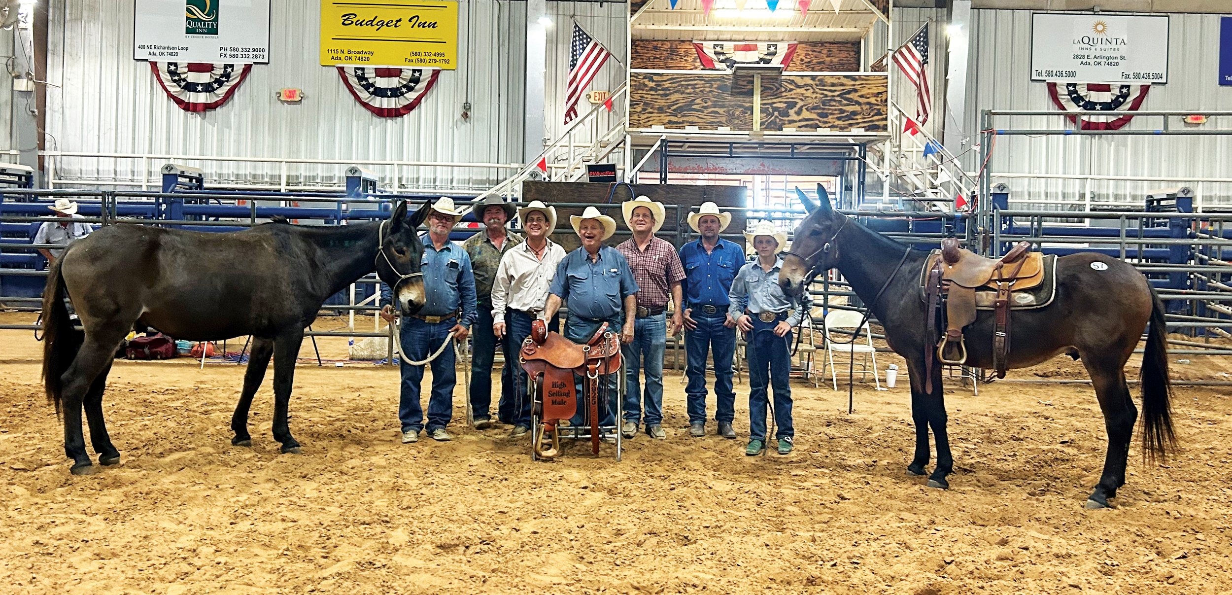 Ada, Oklahoma, Fall 2025 Mule Sale