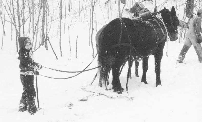 Kim Stork has control of her friends