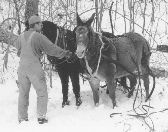   Mike having a pre-game talk with the mules  