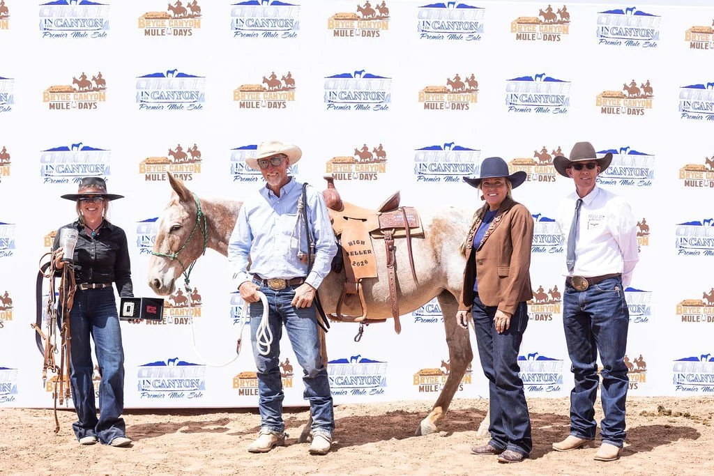 One for the History Books: :&nbsp;2026 Chrome in the Canyon&nbsp;Marks First Six-Figure Mule Sale