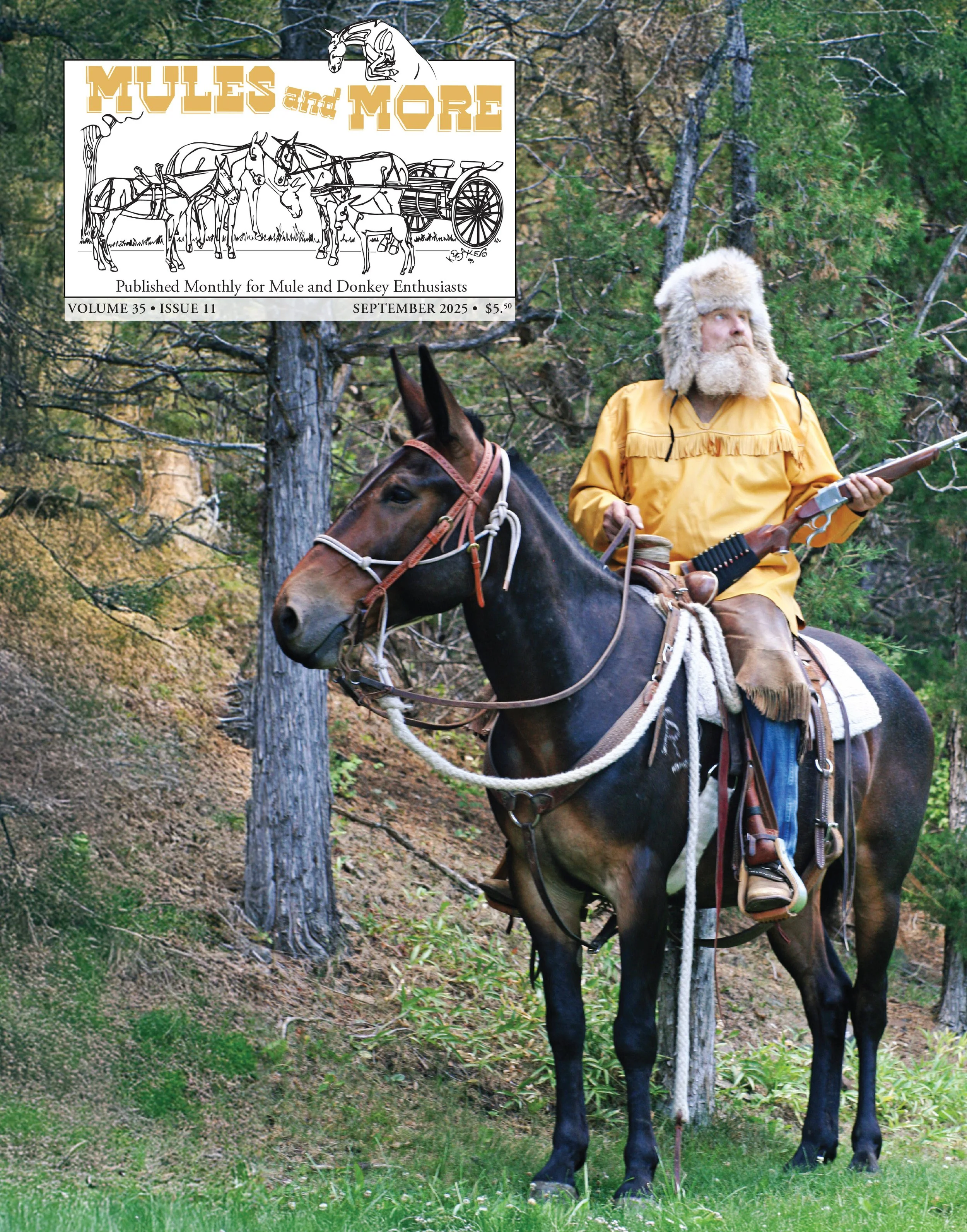 One Year Print Subscription - New or Renewal