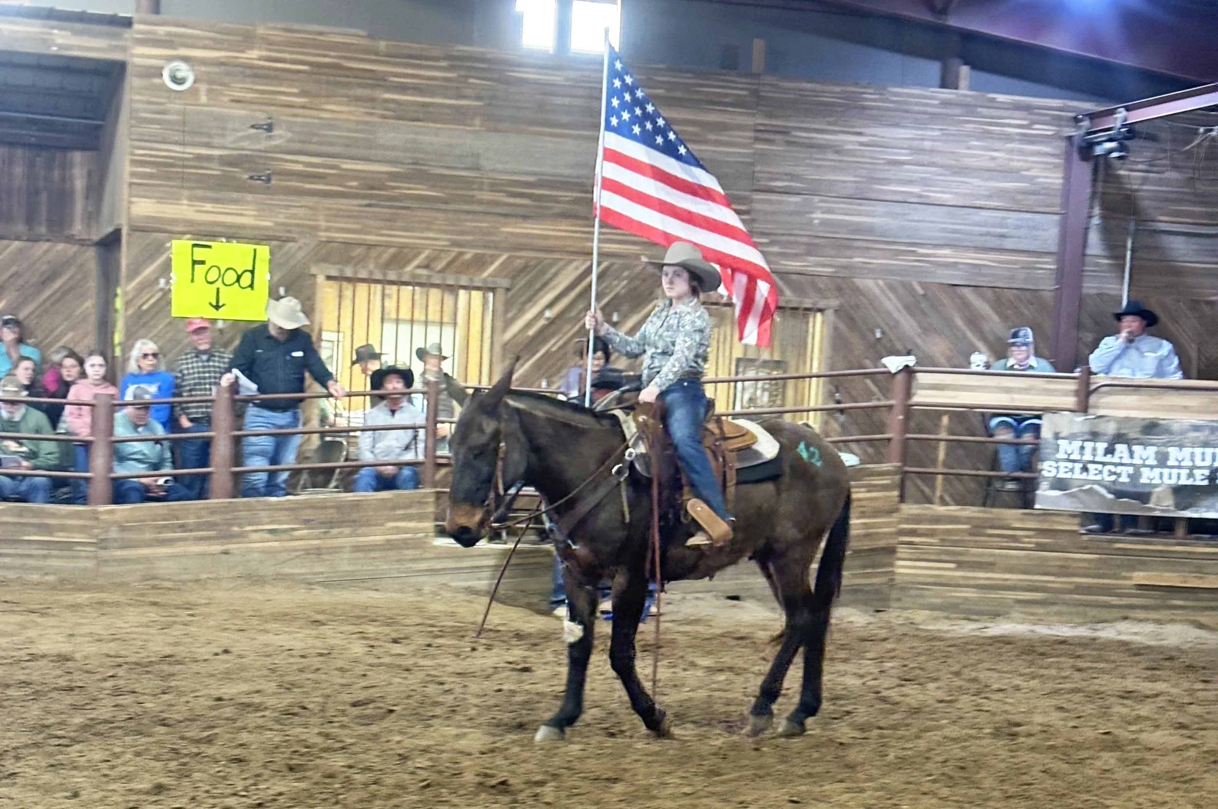 Milam Mules Select Mule Sale