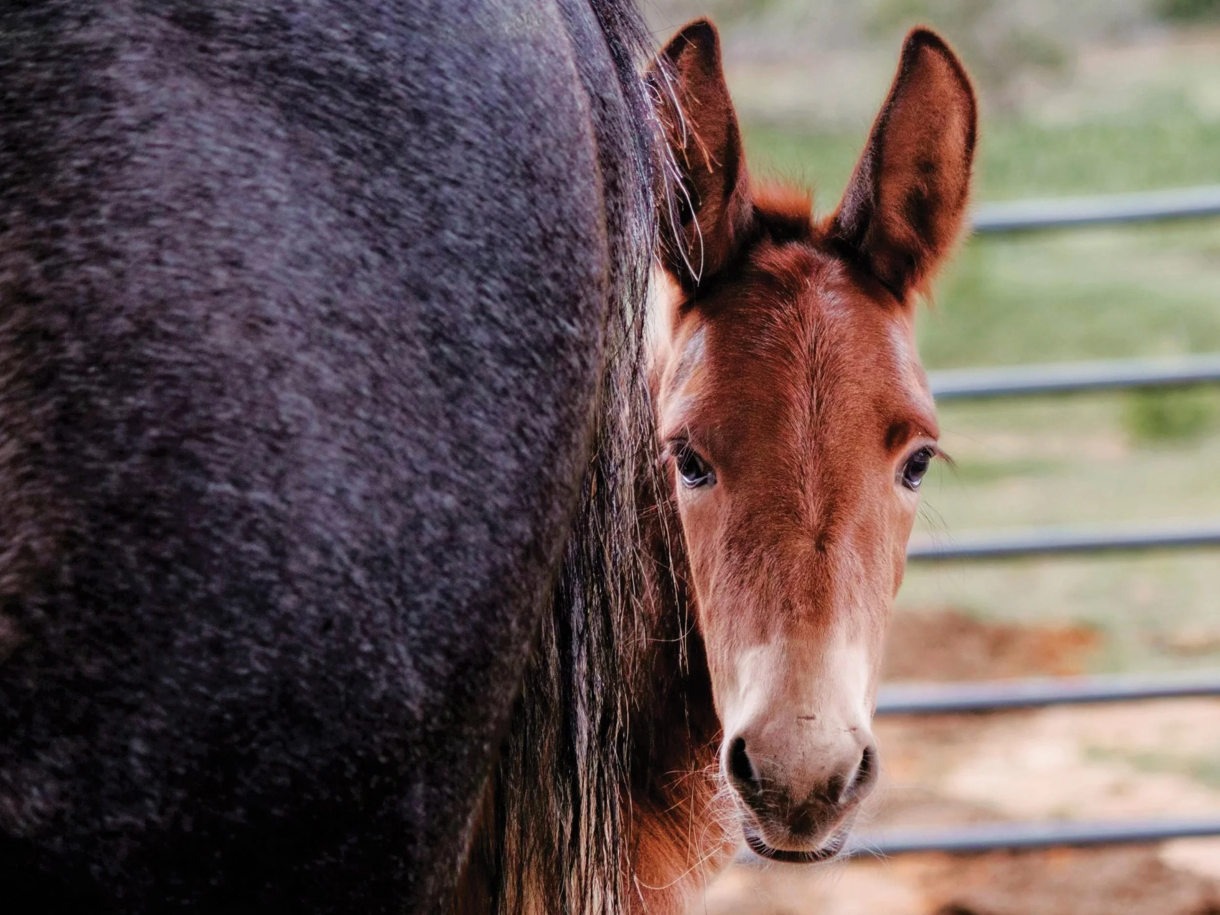 Meet the Jacks from our 2024 Jack Issue!
