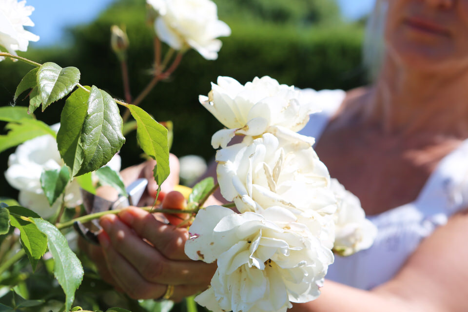 flower-arranging-workshop-balsham.jpg
