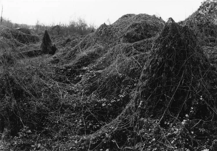 20Atget-on-the-Batture.jpg