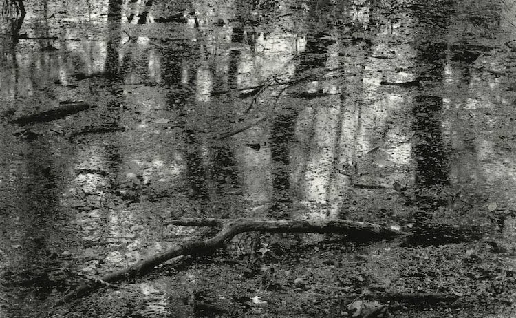 21ReflectionswithNaiad.jpg