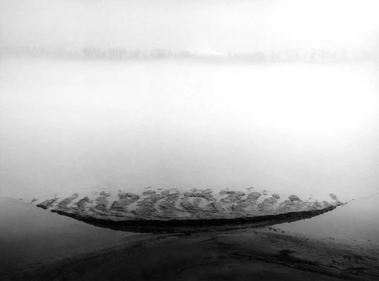 1MudFlat2011.jpg