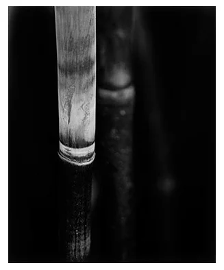 Bamboo Song 10