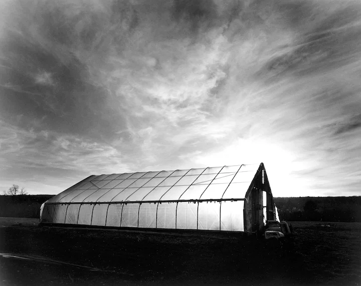 Greenhouse Light