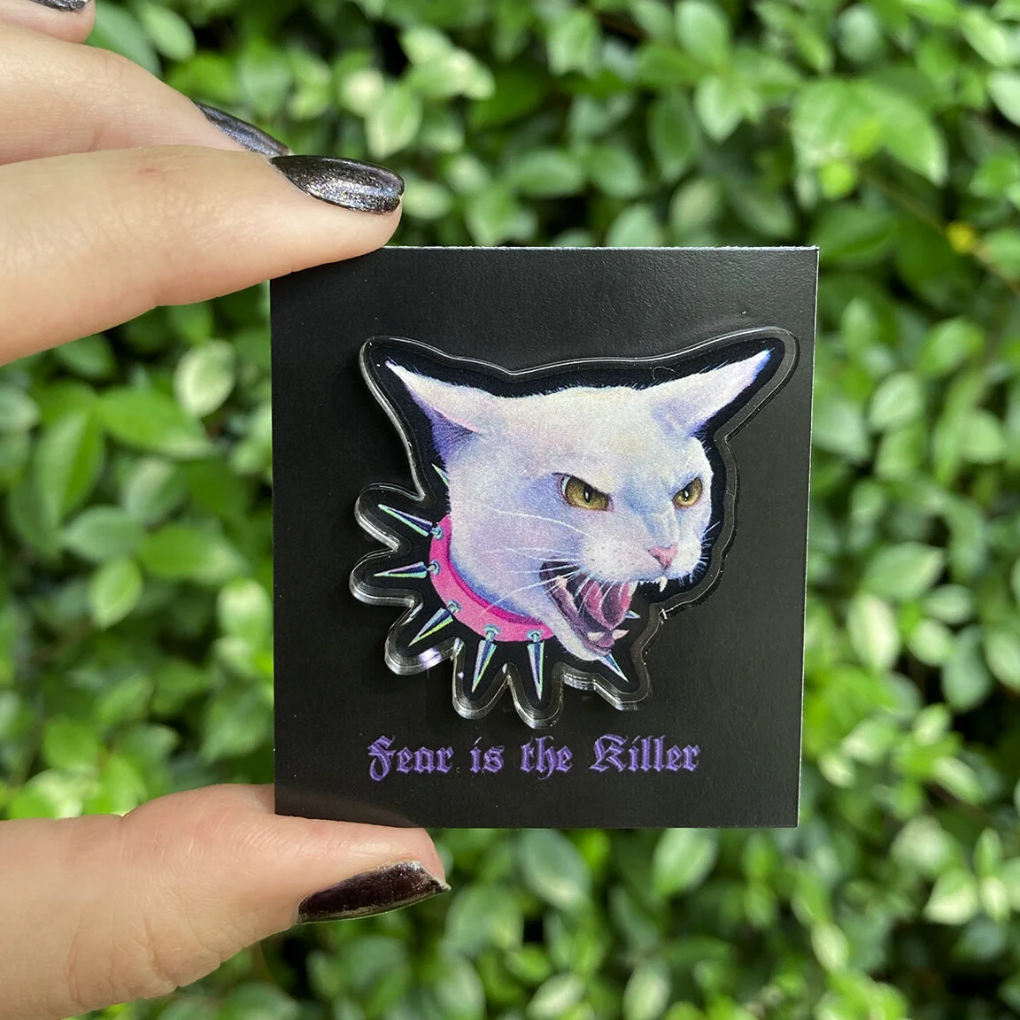 Backer.jpg