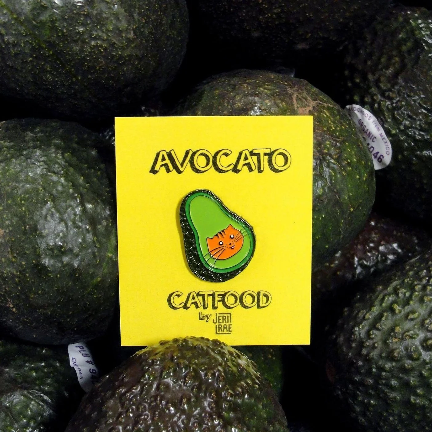 avocato1+.jpg