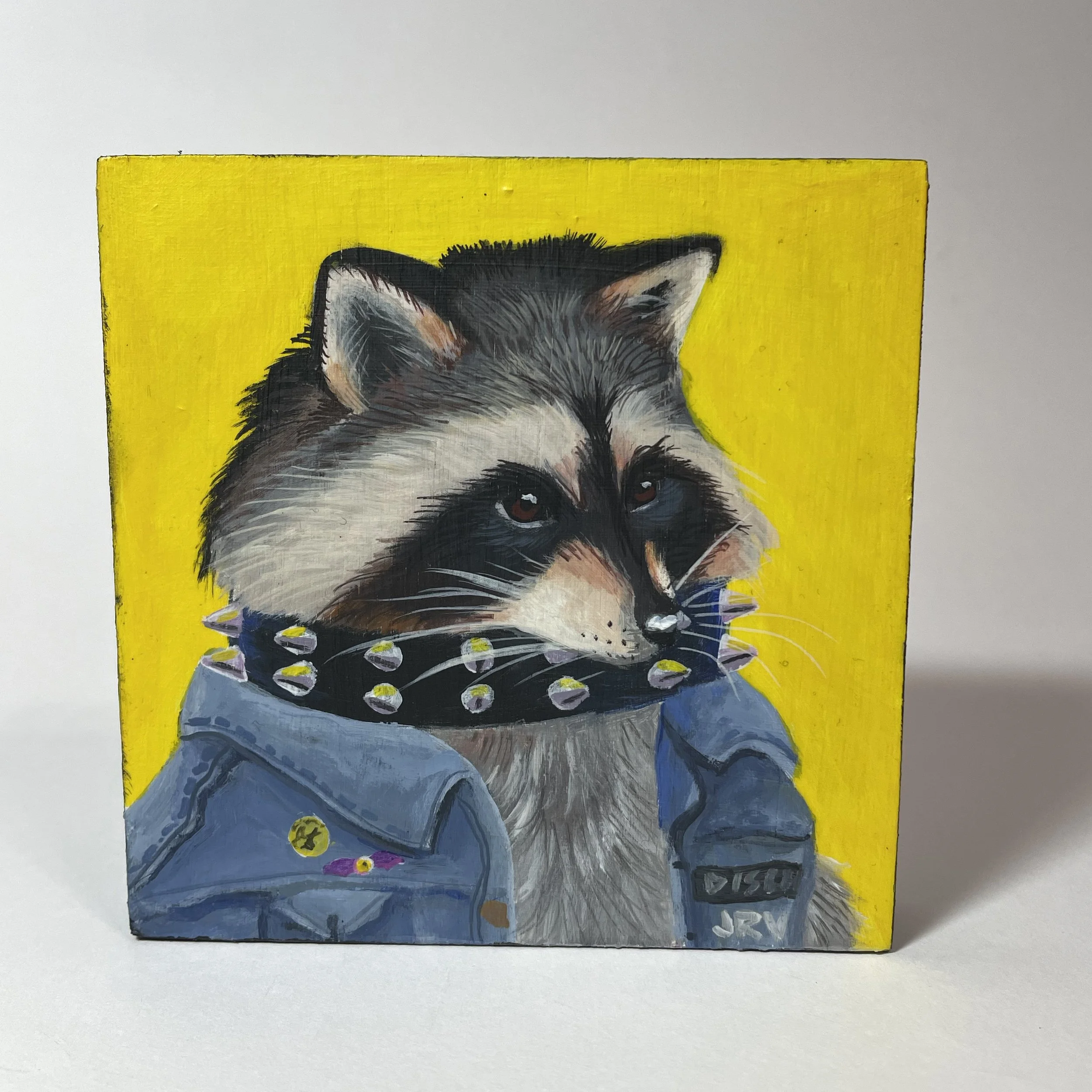 Trash Panda Punk 1.jpg