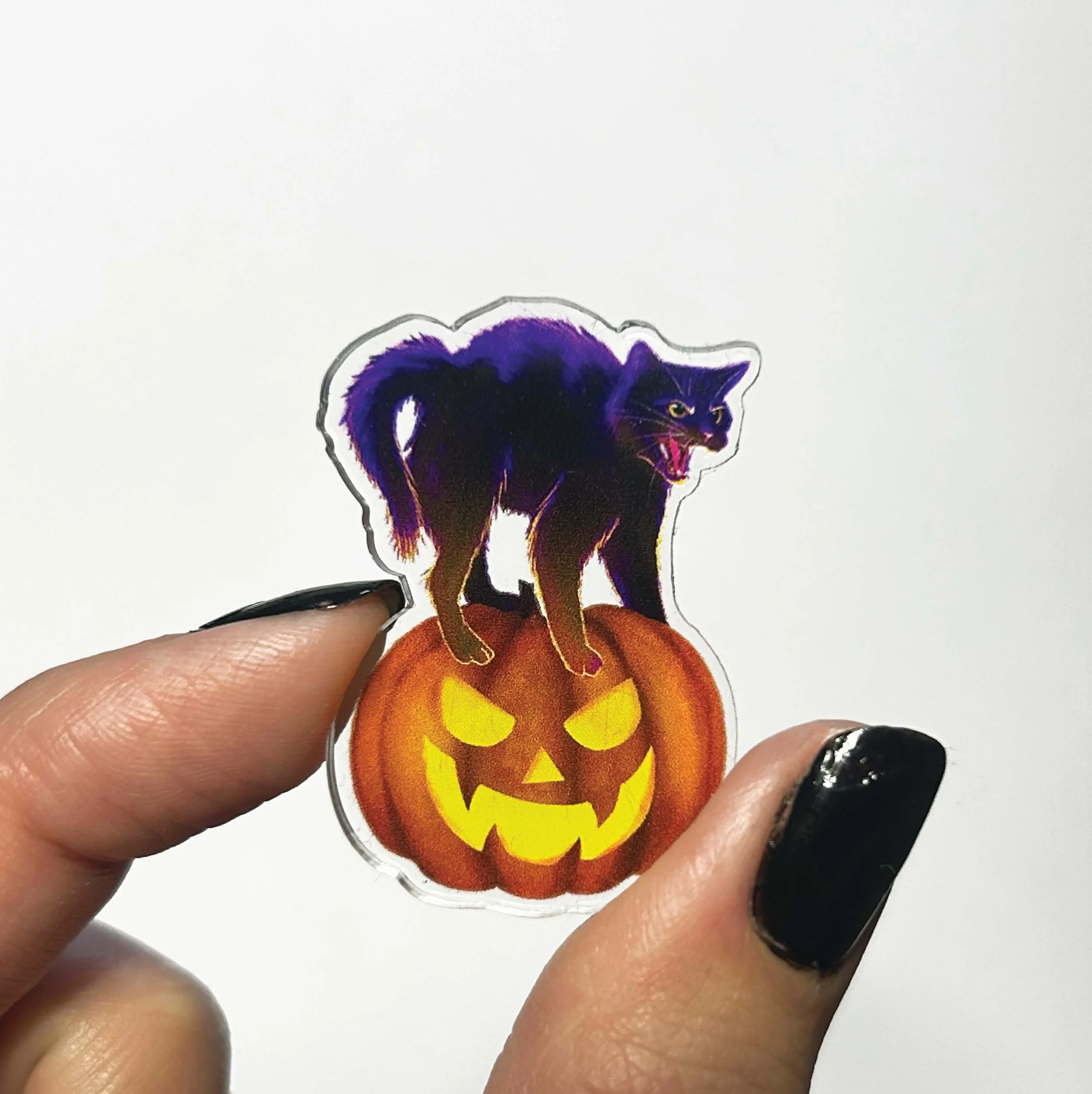 ScaredyCat_Frontplain_©JeriRaeArt.jpg