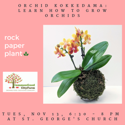 Join us for Orchidama: An Orchid Kokedama Workshop with Rock Paper Plant