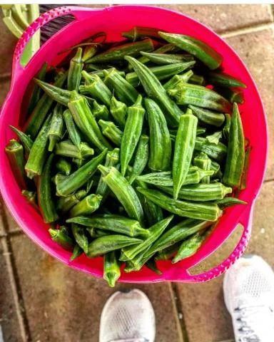 New Farm Market Hours: 4 - 6 pm on Wednesdays until November 14