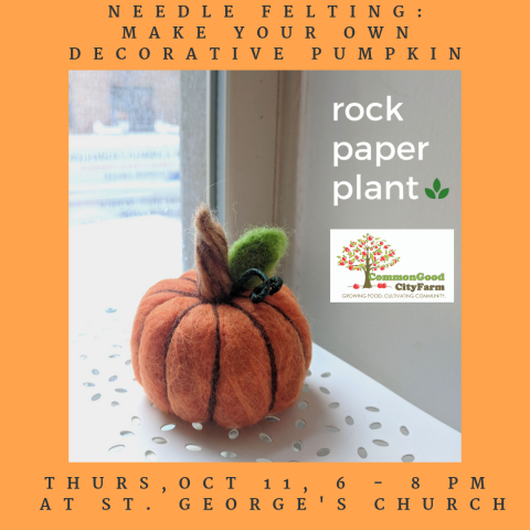 Make Your Own Decorative Pumpkin with Rock Paper Plant this Thurs, Oct 11