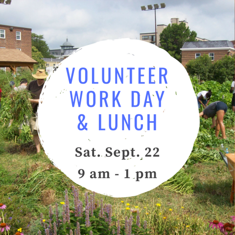 Join us for our Volunteer Work Day