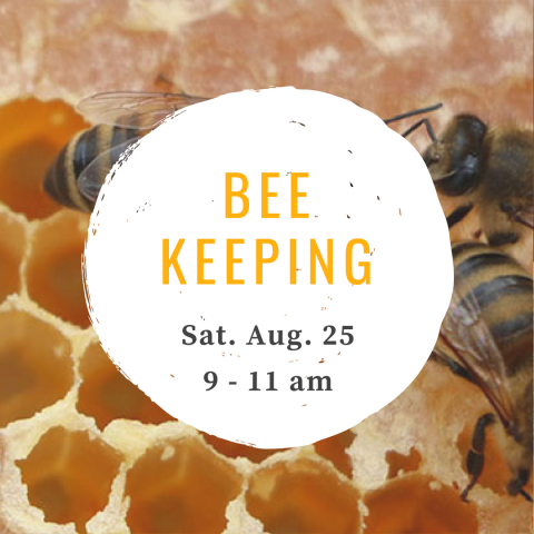 Learn about Beekeeping on Sat, Aug 25