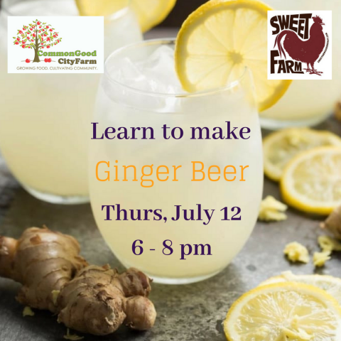 Join us to make Ginger Beer on Thurs, July 12