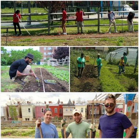 Join Common Good as a City Farmer Volunteer!