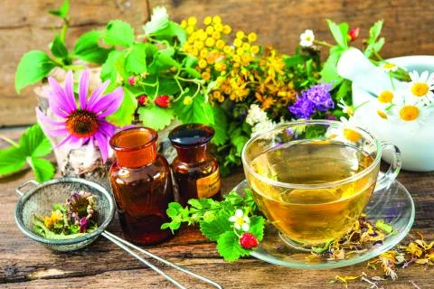 Learn Herbalism 101 with April Rameé of Antler Alchemy