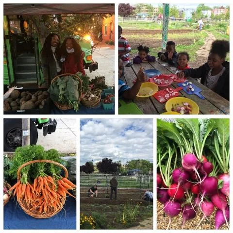 2017. Removing barriers. Creating Opportunities.