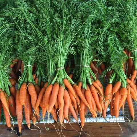 Next Market at LeDroit Park -- Wednesday September 20!