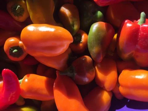 Wednesday August 16 Market at LeDroit Park