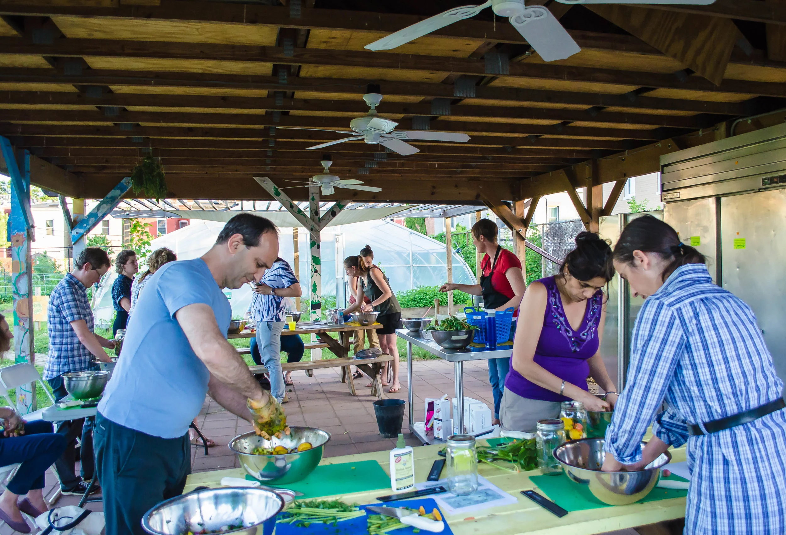 Volunteer with the Common Good City Farmers Program!