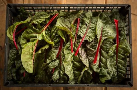 Tomorrow's Market at LeDroit Park