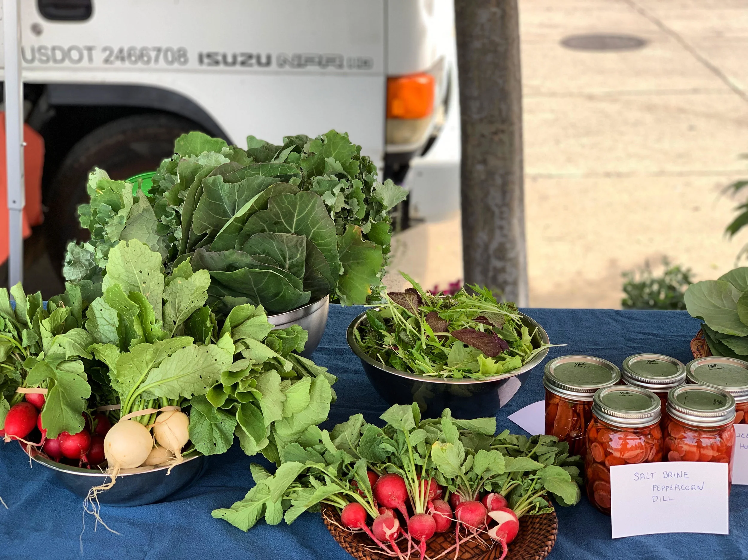 Preserving the Harvest