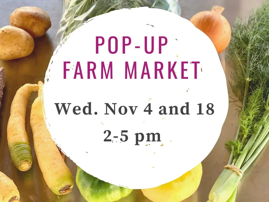 Pop-up Farm Markets on Nov 4 and 18