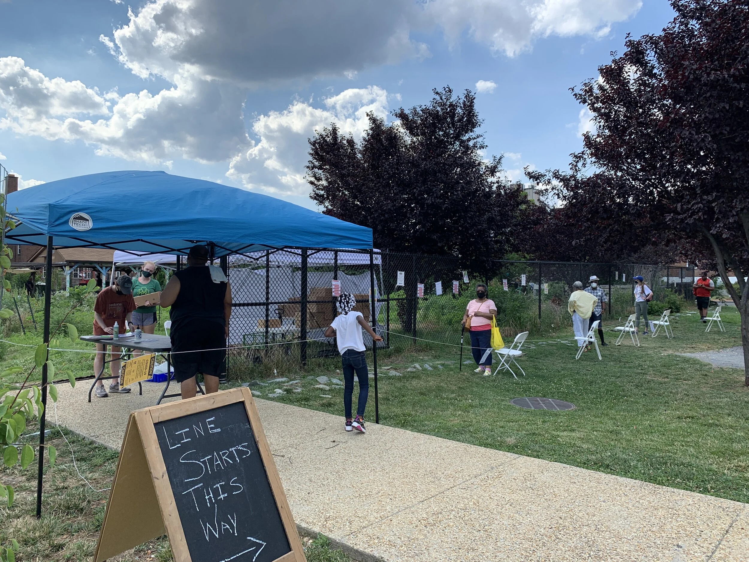 Reflections from a Farm Market Volunteer